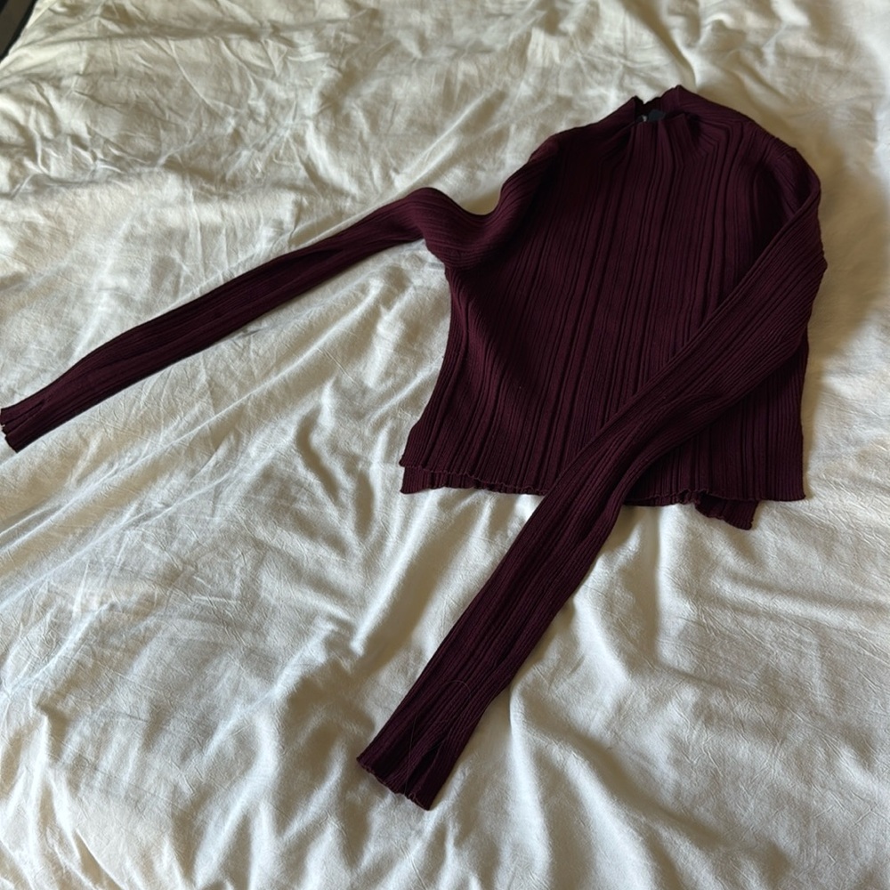 All saints 
Maroon crop top turtleneck.